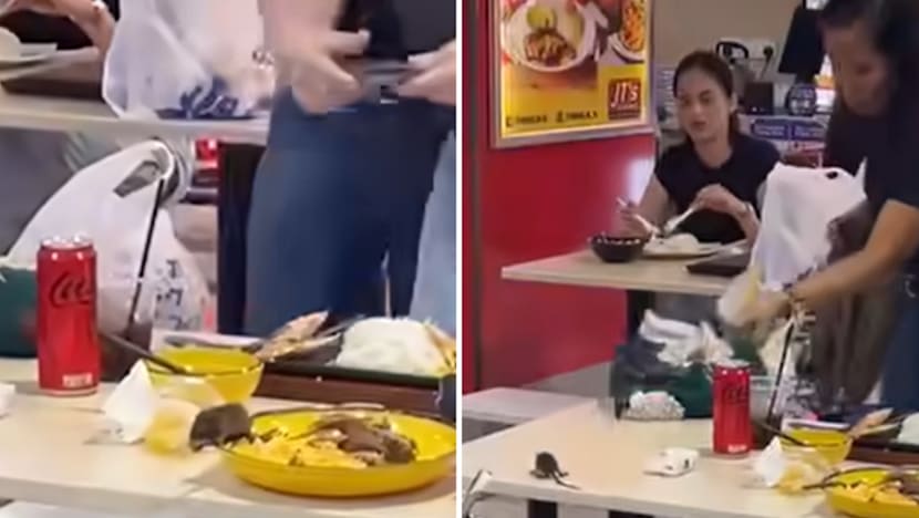 SFA investigating after video emerges of rat at Lucky Plaza food court