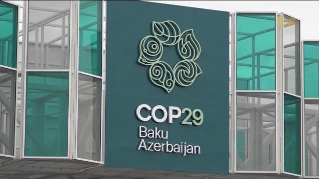 全球气温创新高 今年是有记录以来最炎热一年