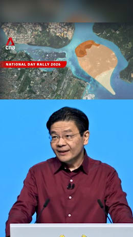 Pulau Tekong reclamation: Toa Payoh-sized area available for civilian use