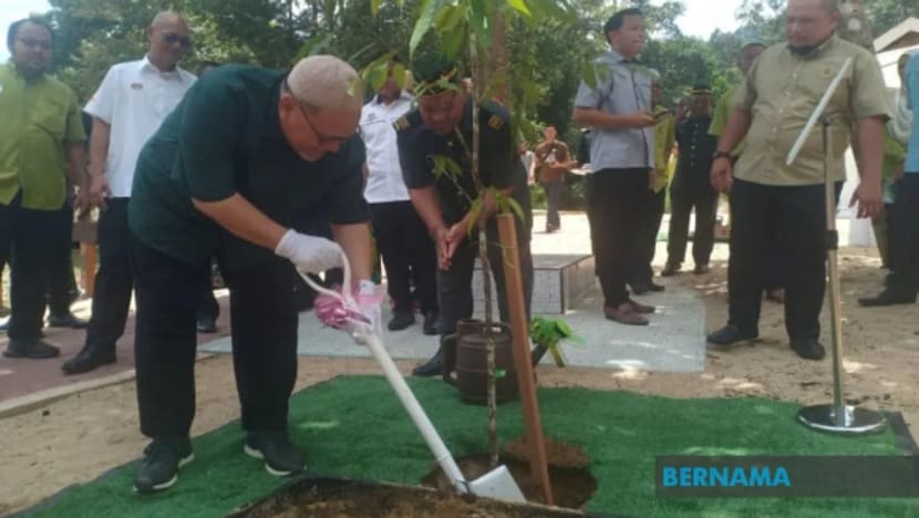 Kelantan lulus cadangan wujudkan program terapi hutan bagi kesihatan fizikal & mental rakyat