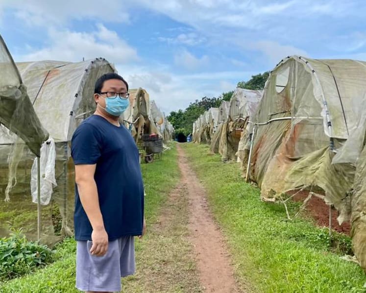 IN FOCUS: How climate change can threaten food production in Singapore