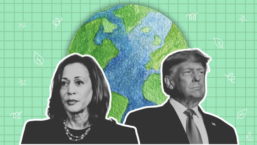 ‘The world is watching’: Why US election result could dictate global progress on climate action ‘The world is watching’: Why US election result could dictate global progress on climate action