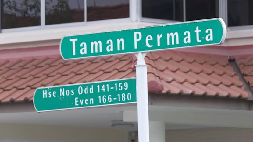 Polis akan pasang lebih banyak CCTV, tingkatkan rondaan di Upper Thomson susuli kes pecah masuk