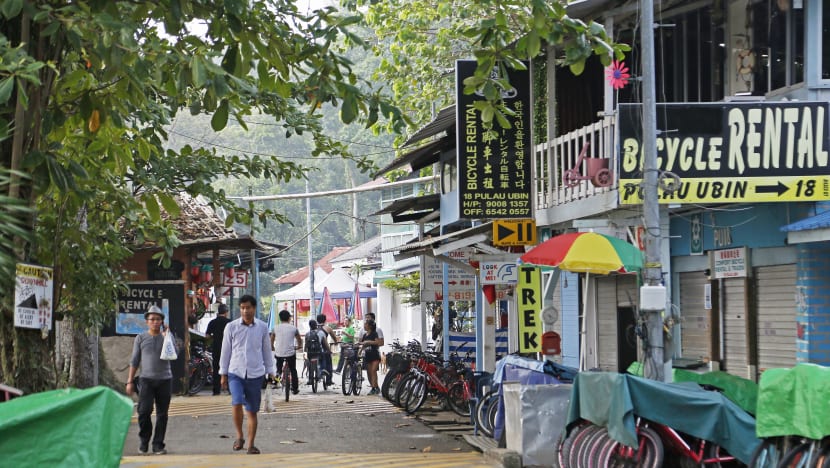 Ubin residents leave deep impression on researchers