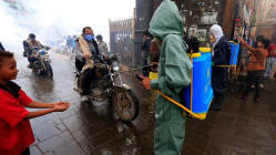 Related article image