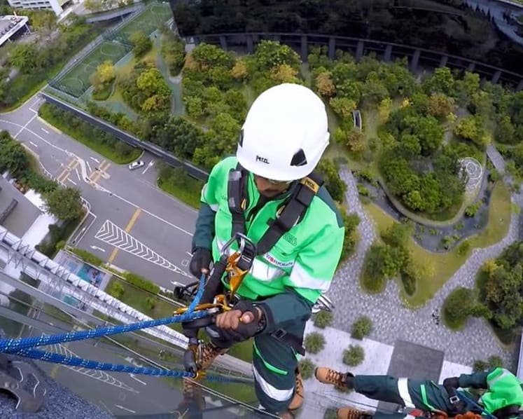 To do their job, they dangle from high-rise buildings by just a rope