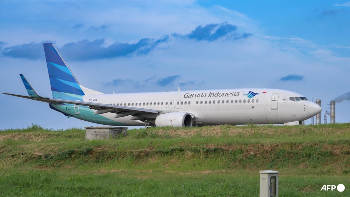 Indonesia lifts decades-old ban on foreigners leading state firms – will this fix their problems?