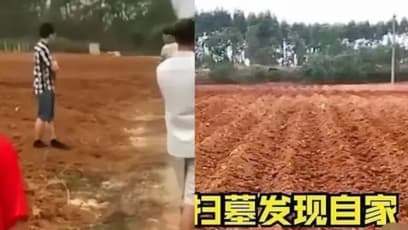 Man In China Visits Ancestors’ Gravesite For Qing Ming, Finds Out It’s Now A Sugarcane Field