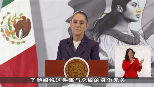 公开场合遭一男子非礼 墨西哥总统提出指控