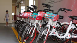 Related article image