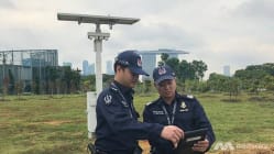 Related article image