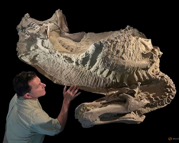 Wyoming dinosaur 'mummies' reveal a surprise: hoofed feet