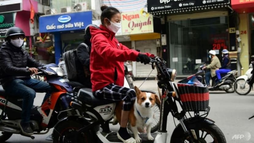 Bandar pelancongan Vietnam ikrar henti penjualan daging anjing & kucing Bandar pelancongan Vietnam ikrar henti penjualan daging anjing & kucing