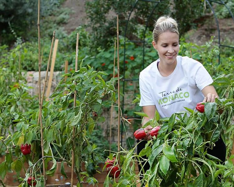 Is green the new glam? How tiny, rich Monaco is tackling sustainable tourism 