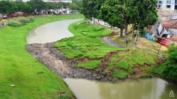 Related article image