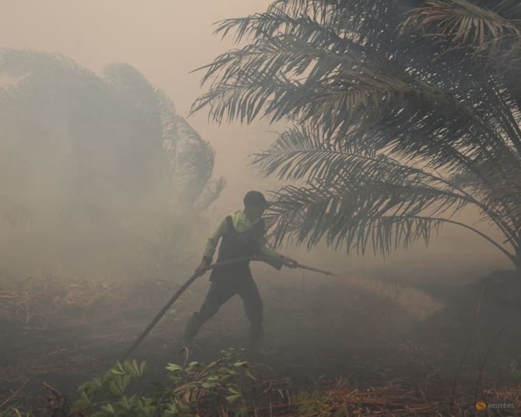 TSH Resources says 274 hotspots detected within estate boundaries were outside operational areas