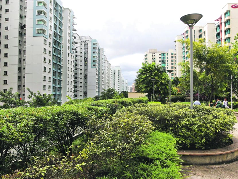A rooftop garden located at the multi-storey carpark of Punggol Oceanus. Photo: Don Wong