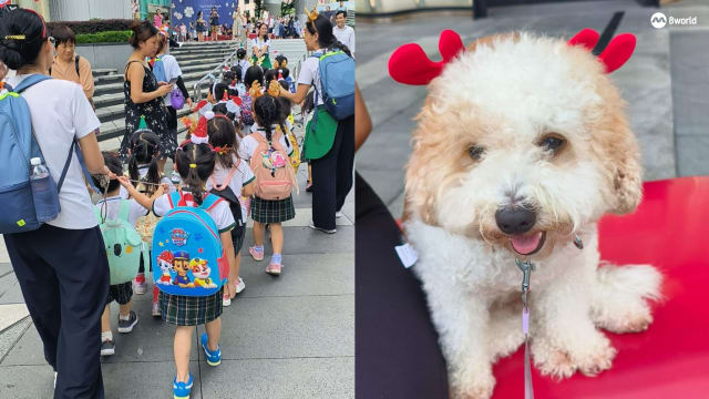 幼儿园学童乌节路感受节日气氛 宠物狗也穿上圣诞装