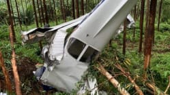 Related article image