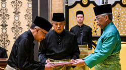 Related article image