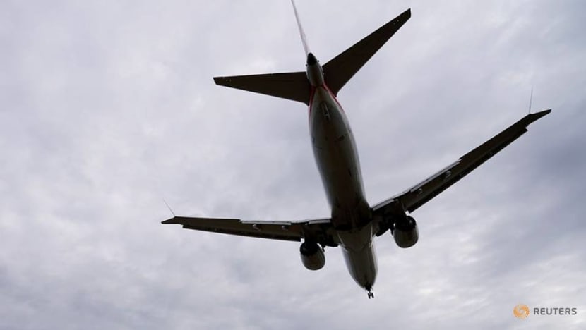 Singapore Airlines Boeing 737 MAX pilots will undergo 'additional training' after suspension on plane lifted Singapore Airlines Boeing 737 MAX pilots will undergo 'additional training' after suspension on plane lifted