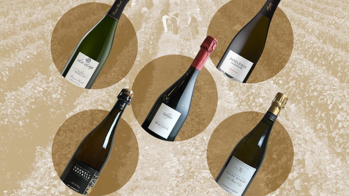 Grower champagnes: What makes these small-producer bottles special (and worth the hype)?
