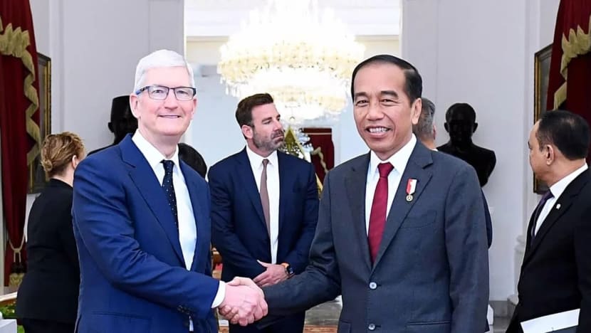 Ajak Apple investasi, Indonesia siap tawarkan insentif lebih besar dari India dan Thailand