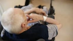 Related article image