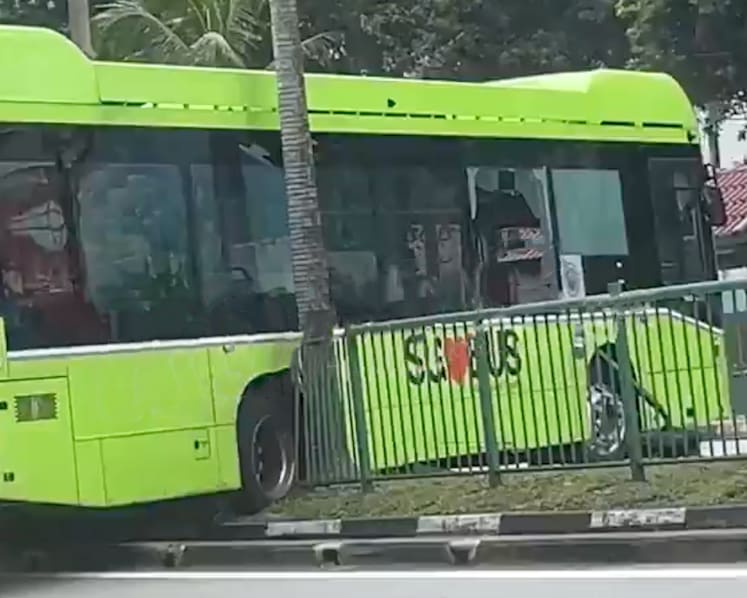 Tower Transit bus driver, 64, suspended after bus crashes through road divider; 9 passengers onboard, no injuries