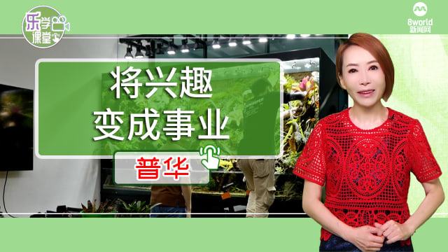 【普华】设计师打造水陆缸 把大自然带回家
