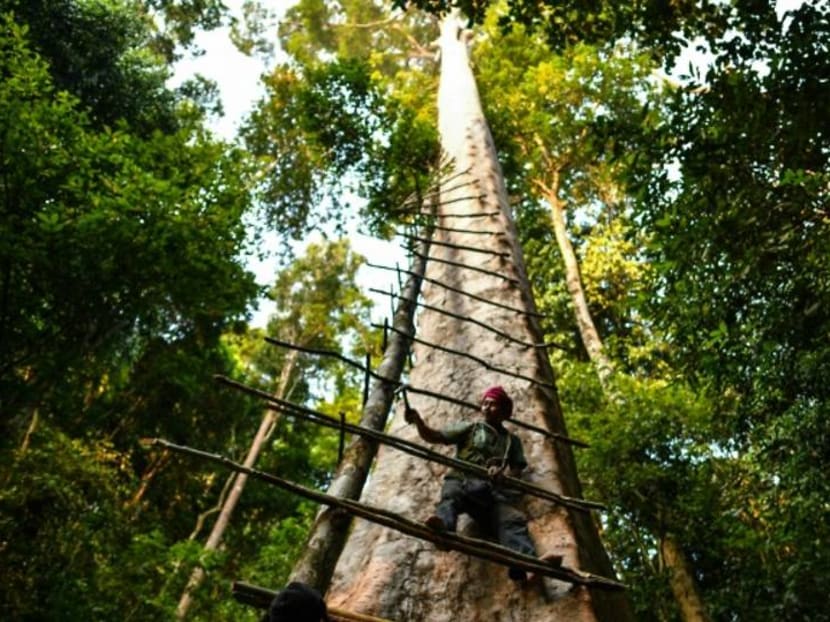 Commentary: A countryside holiday is therapy for a city-bred Singaporean family