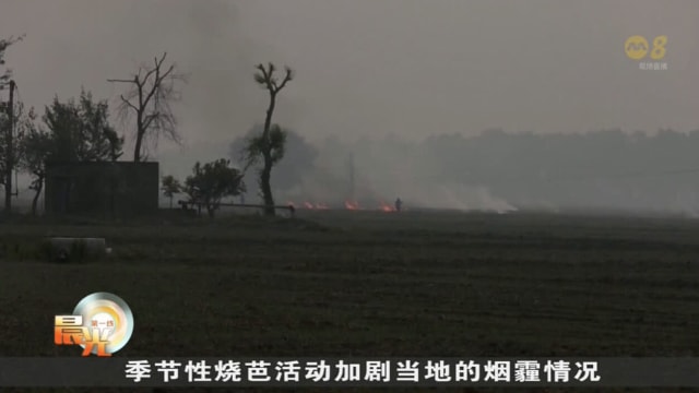 印度新德里政府宣布将限制车流量 缓解空气污染情况