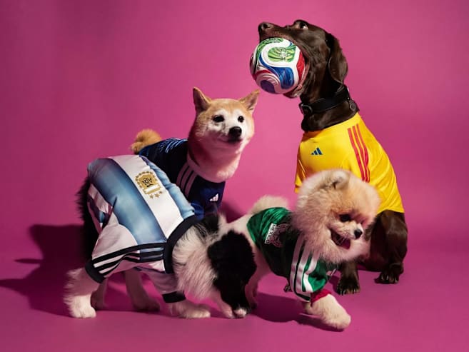 Adidas launches first pet collection in Singapore with mini football jerseys for furry fans