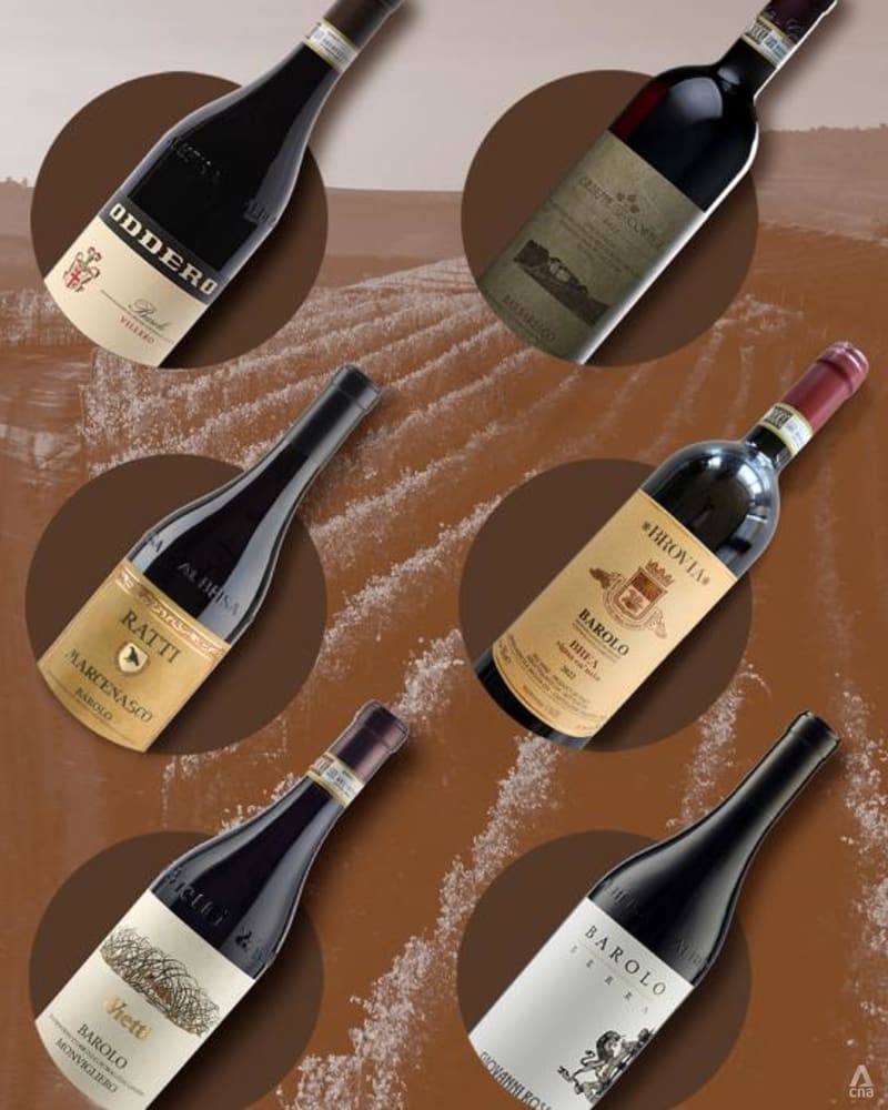 I tasted 300 Nebbiolo wines from Barolo, Barbaresco and Roero. These 6 producers stood out