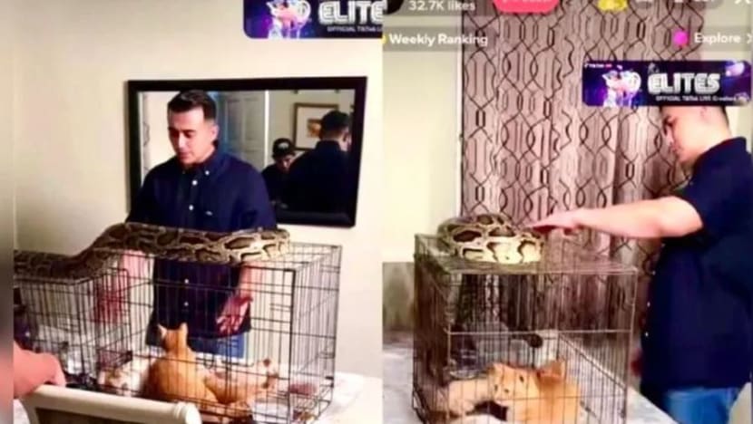 Aaron Aziz beri penjelasan selepas dikecam muat naik video ular sawa atas sangkar kucing
