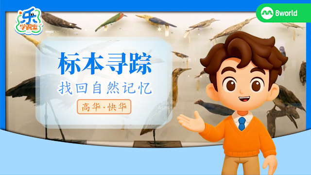 【高华快华】标本寻踪　找回自然记忆