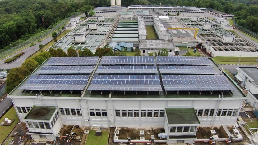 Second worker dies after toxic gas incident at PUB's Choa Chu Kang Waterworks Second worker dies after toxic gas incident at PUB's Choa Chu Kang Waterworks