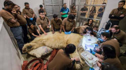 Related article image
