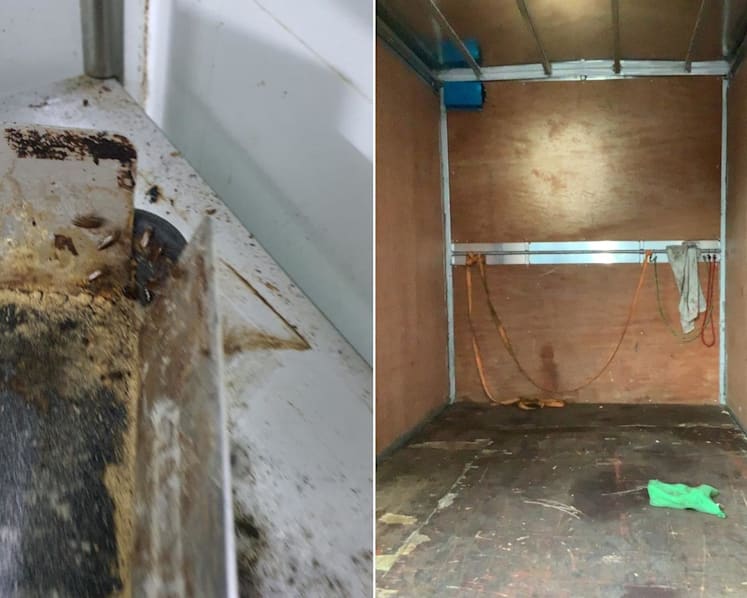 Bakery firm iBread gets S$7,000 fine for 'massive' cockroach infestation, other hygiene lapses 