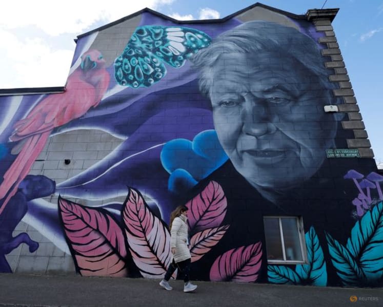 David Attenborough centenary celebrations start with closer look at 'Life on Earth'