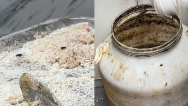20多天不换油！中国江西鸡排店被曝严重卫生问题 