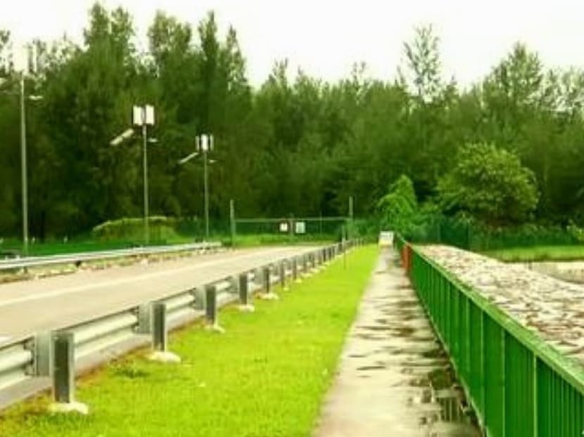 Coney Island, also known as Pulau Serangoon. Photo: Channel NewsAsia