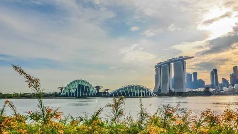 COP28: SG negara pertama di dunia laksanakan klasifikasi bagi projek hijau COP28: SG negara pertama di dunia laksanakan klasifikasi bagi projek hijau