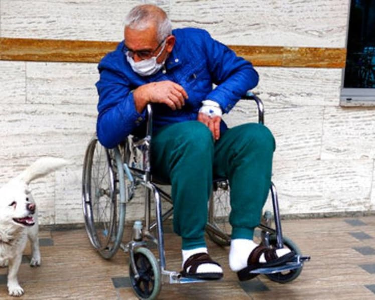 Dog spent days outside Turkish hospital waiting for owner 