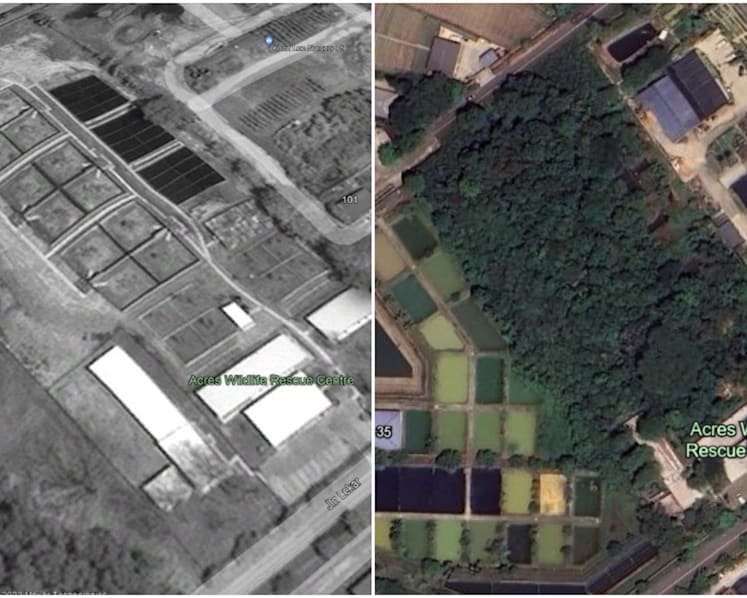 Land poisoning took away much of its original space. Years on, ACRES finally gets green light for expansion