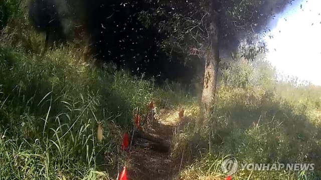  朝鲜否认非军事区爆炸由地雷引发 斥韩自导自演闹剧