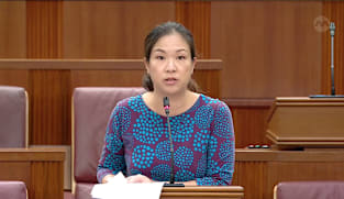 He Ting Ru on Tobacco (Control of Advertisements and Sale) (Amendment) and Other Matters Bill