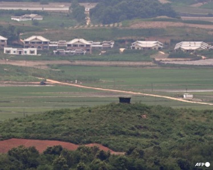 North Korean DMZ landmine blasts 'violation of armistice': Seoul