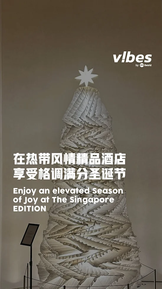 20251208_LS_The-Singapore-EDITION-festive-vod01