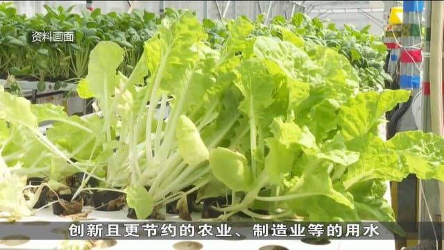 研究：到了2050年 全球水资源危机将威胁一半以上食物产量